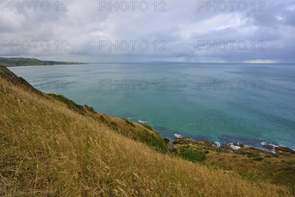 Sweeping views over the sea from grassy cliffs under a cloudy sky, summer, Nugget Point Lighthouse, Ahuriri Flat, Otago, South Island, New Zealand