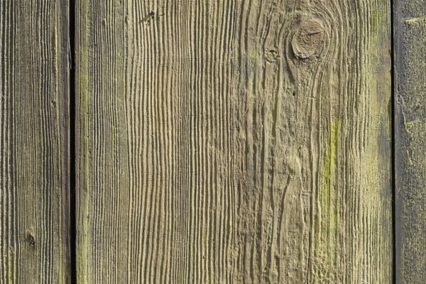 Detail of an old wooden door, texture, background, Münsterland, North Rhine-Westphalia, Germany