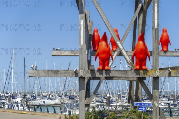 Rode Pinguins, Red Penguins, artwork by Belgian artist William Sweetlove in the marina of Breskens along the Western Scheldt, Zeeland, Netherlands