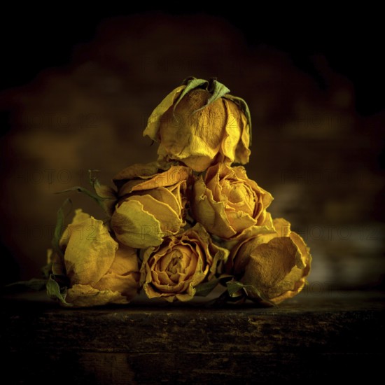 A pyramid of dried yellow roses sits against a dark background, highlighting their unique texture and rich color. The scene emphasizes the beauty of these preserved flowers