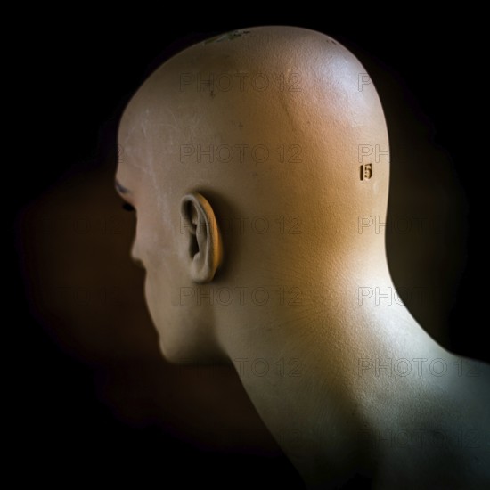 Realistic mannequin head displaying neutral expression in a dark setting with soft lighting in an art studio