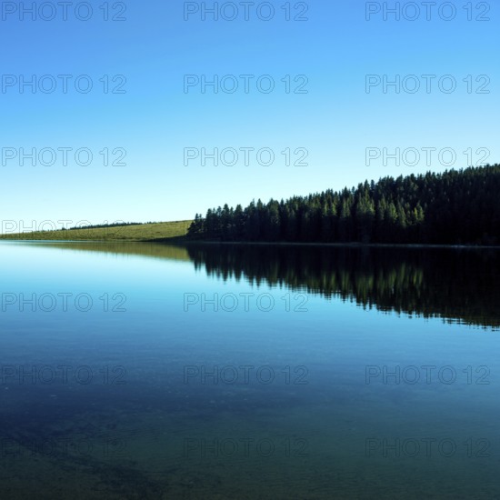 A tranquil lake mirrors the vibrant blue of the sky while a dense forest borders its edge. Lake Servieres, Puy de Dome, Auvergne, France