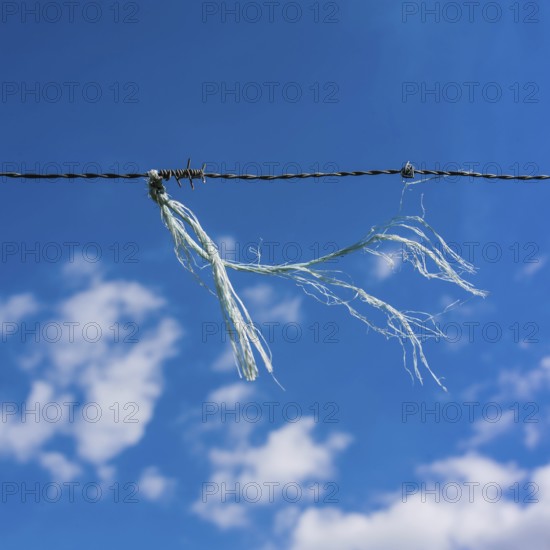 A frayed string hangs from a barbed wire fence, contrasting with the bright blue sky dotted with white clouds. The scene captures a moment in nature, emphasizing simplicity and texture