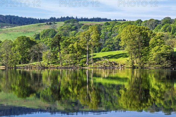 Farms over Esthwaite Water, Lake District National Park, Cumbria, England, United Kingdom