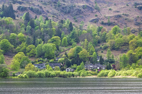 Grasmere Lake, Grasmere, Ambleside, Lake District, Westmorland, Cumbria, England, United Kingdom