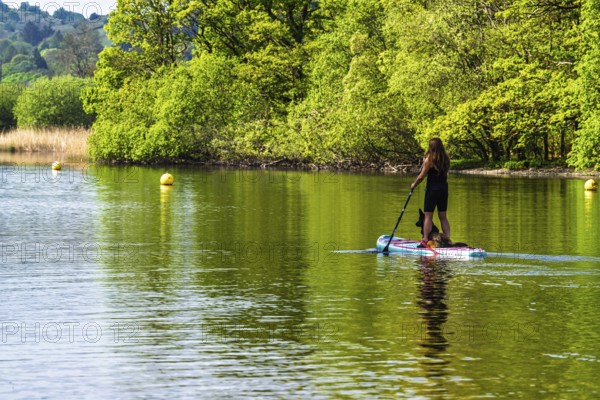 Woman with dog on Paddle board on Windermere Lake, Fell Foot Park, Lake District, Cumbria, England, United Kingdom