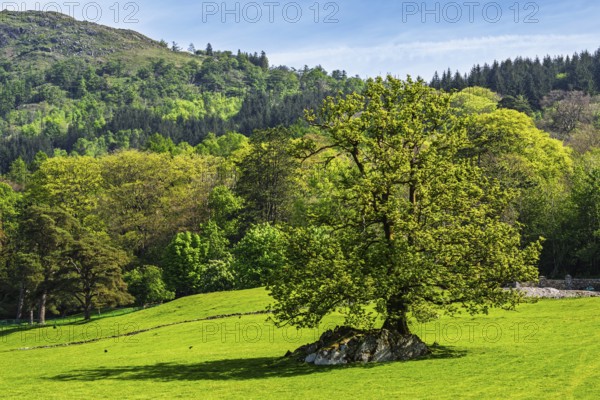 Fell Foot Park, Windermere Lake, Lake District, Cumbria, England, United Kingdom