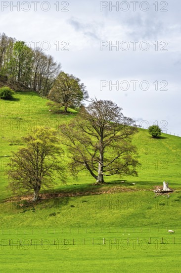Farms, Ullswater Lake, Lake District National Park, Cumbria, England, United Kingdom