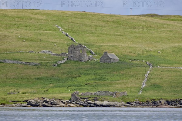 Stone ruins lie in a green hilly landscape, Noss, Shetland Islands, Scotland, Great Britain