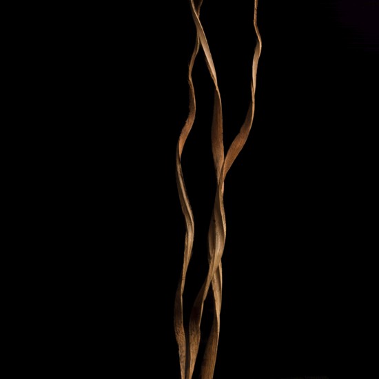 Beautiful floral decoration showcases twisted stems against a dark backdrop, enhancing the atmosphere of a sophisticated gathering in the evening