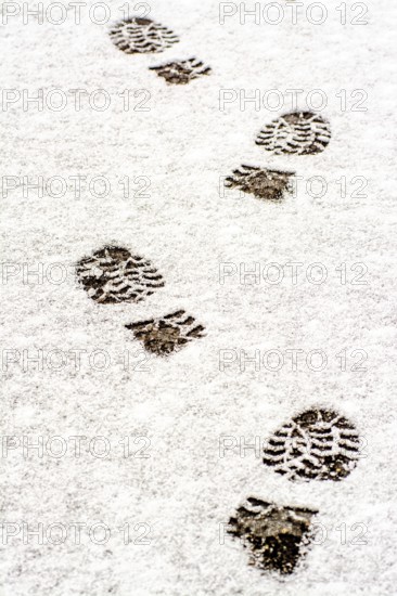 Tracks left by boots in freshly fallen snow reveal a path through a serene winter environment. The white ground is untouched apart from the footprints leading away