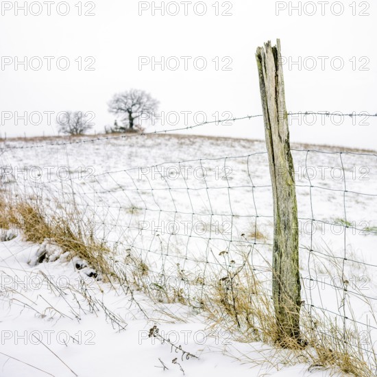A rustic wooden fence stands in a snowy winter landscape in Auvergne, with a backdrop of stark, leafless trees. The cold scene captures the serene beauty of winter. France
