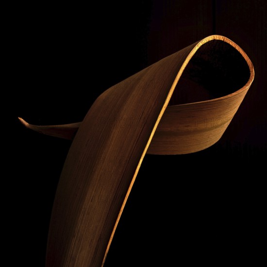 Intricate floral arrangement features gracefully curved leaves highlighted against a black background, creating a striking contrast. Ideal for modern decor and design inspiration