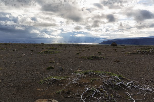 Barren stony volcanic landscape at Kjalvegur Kjölur, sparse vegetation, dramatic cloudy sky, Icelandic highlands, Suðurland, Sudurland, Iceland