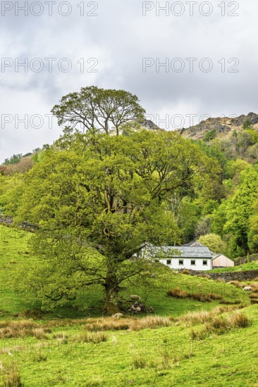Farms in Lake District National Park, Cumbria, England, United Kingdom