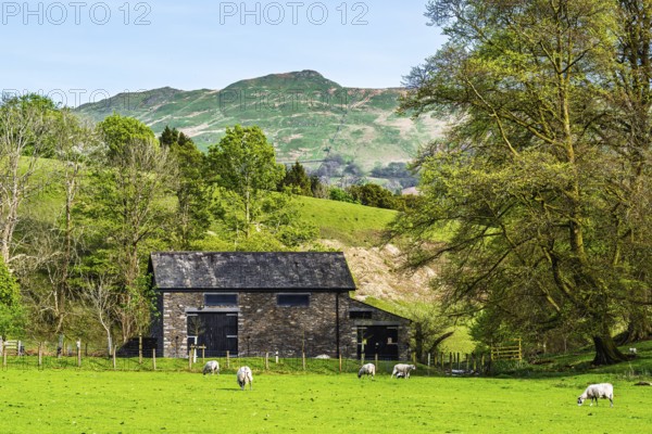 Farms in Lake District National Park, Cumbria, England, United Kingdom