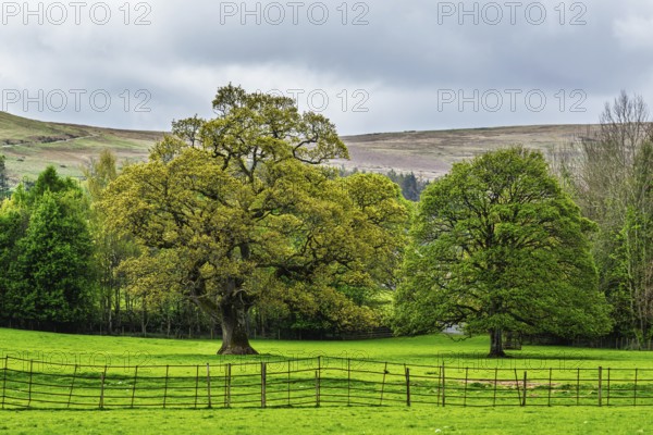 Farms, Pooley Bridge, Ullswater Lake, Lake District National Park, Cumbria, England, United Kingdom