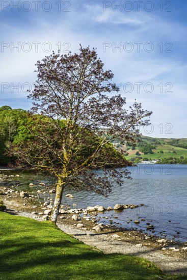 Lake Windermere, Wray Castle, Ambleside, Lake District, Cumbria, England, United Kingdom