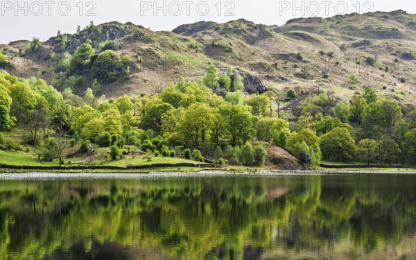 Rydal Water, Rydal, Ambleside, Lake District, Westmorland, Cumbria, England, United Kingdom