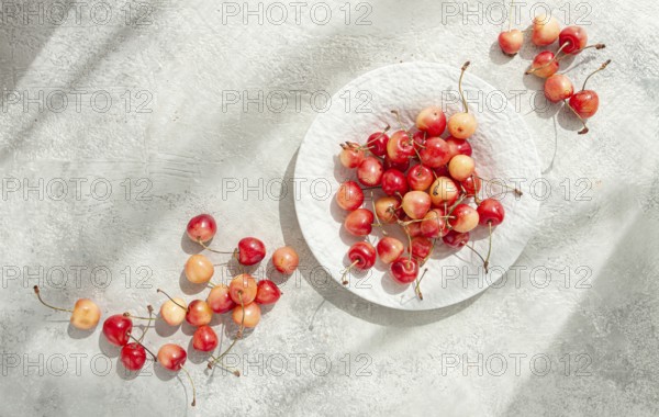 Yellow cherries on a white platter, scattered on the table, natural light, top view