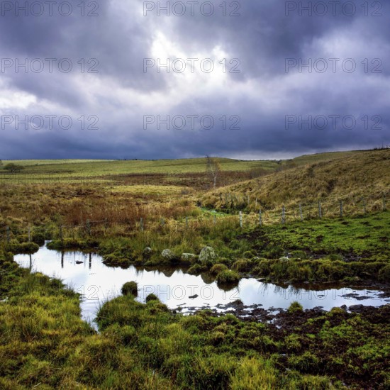 A tranquil stream meanders through the lush countryside of the Cezallier massif in Puy de Dome. Dark clouds loom overhead, enhancing the natural beauty of the landscape. Auvergne Rhone Alpes. France