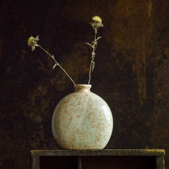 Dried thistles stand elegantly in a ceramic jar, showcasing natural beauty against a warm, textured background on a wooden shelf. An inviting and calming decor element