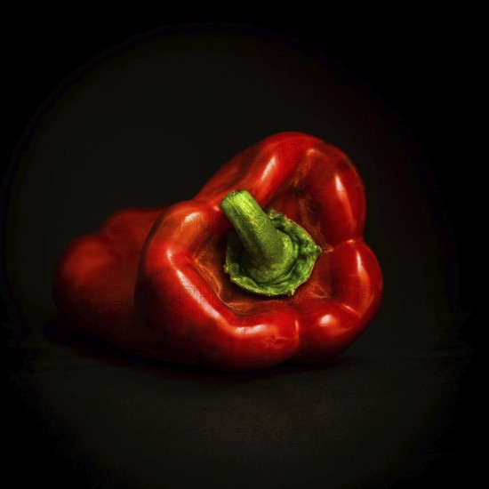 The vibrant red bell pepper, with its glossy skin, is positioned on a rich black background, highlighting its fresh, natural shape and colors