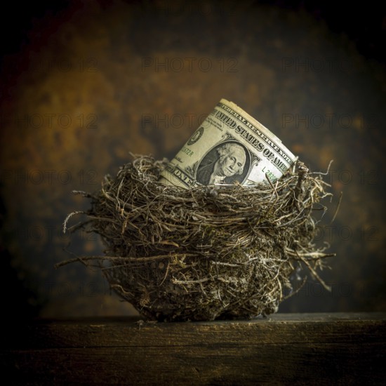 A rolled dollar bill sits comfortably within a natural nest made of twigs and grass, highlighting the concept of saving and nurturing finances