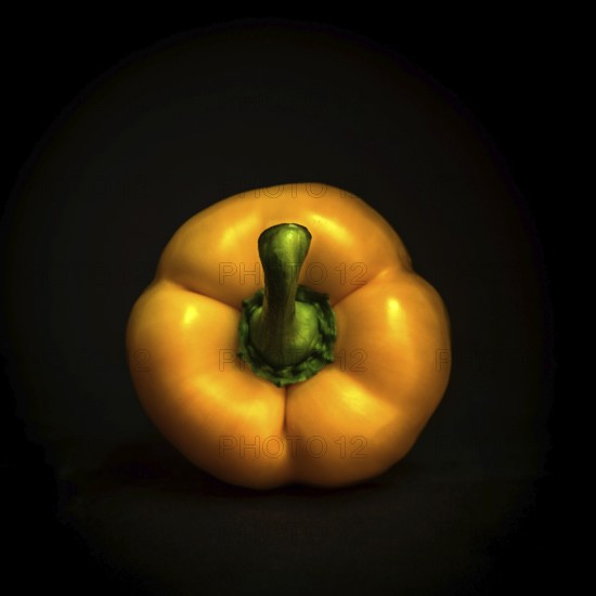 A bright yellow bell pepper showcases its glossy skin with a green stem, beautifully contrasting against a deep black backdrop. This vibrant vegetable exudes freshness and healthiness