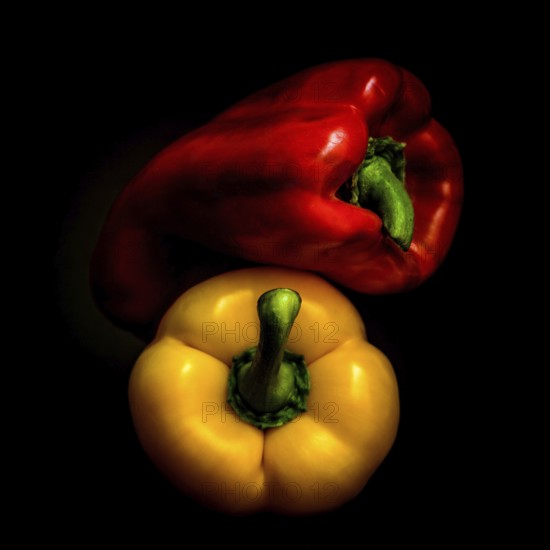 Red and yellow bell peppers are arranged prominently on a black background, highlighting their glossy surfaces and distinctive shapes