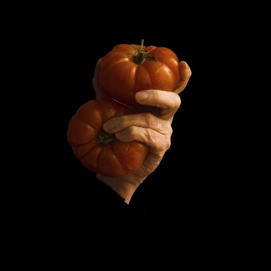 A hand grips two uniquely shaped orange tomatoes against a dark background, highlighting their rich color and texture. The dramatic lighting accentuates their curves