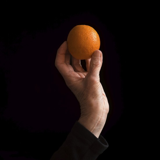 A hand gracefully holds a bright orange, emphasizing its round shape and textured skin. The dark background adds depth, highlighting the fruit's vivid color and natural beauty