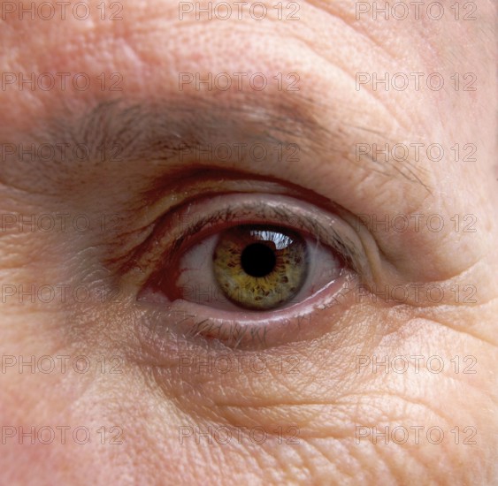Close-up macro shot revealing the intricate details of an adult woman's eye with vibrant hues and texture against a natural backdrop