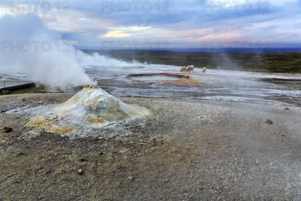 Fumarole, Solfatare Öskjuholt, steaming sinter cone, lime sinter, sulphur vapour, Hveravellir geothermal area, Icelandic highlands, Kjalvegur, Kjölur, Suðurland, Sudurland, Iceland