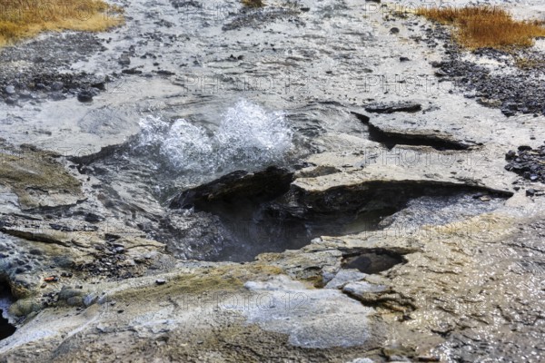 Hveravellir geothermal area, Icelandic highlands, Suðurland, Sudurland, Iceland