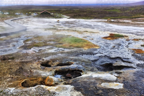 Hveravellir geothermal area, Icelandic highlands, Kjalvegur, Kjölur, Suðurland, Sudurland, Iceland