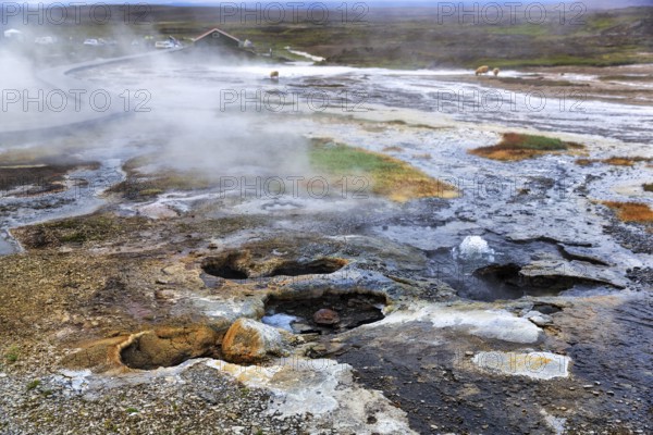 Hveravellir geothermal area, sulphur vapour, Icelandic highlands, Kjalvegur, Kjölur, Suðurland, Sudurland, Iceland