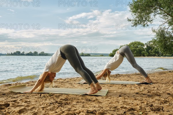 Two women perform downward dog yoga poses on exercise mats at a sandy lakeside. The sun shines down, illuminating the calm water and lush trees in the background, creating a peaceful atmosphere