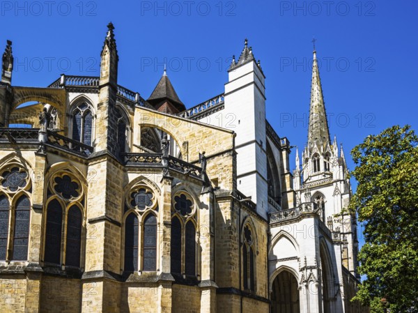 Cathedrale Sainte-Marie in Bayonne, Basque Country, Southwest France