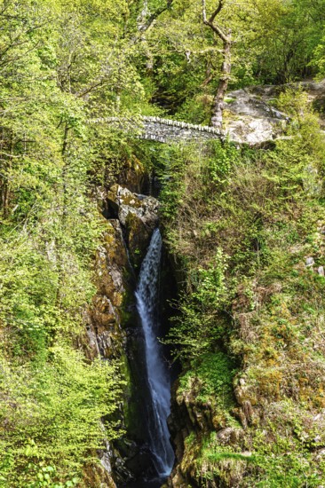 Aira Force Waterfall, Ullswater Lake, Lake District National Park, Cumbria, England, United Kingdom