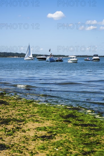 Boats over Brownsea Island, Poole, Dorset, England, United Kingdom