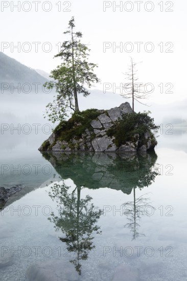 Magical sunrise with fog at Hintersee near Ramsau in Berchtesgadener Land. Reflection of the rocks in the lake