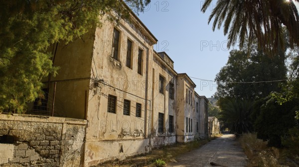 Old abandoned building in an overgrown area with palm trees, Armando Bernabiti, Historicism, Rationalism, Art Deco, Rationalism, Rodolfo Petraco, Fascism, Portolago, Lakki, Leros, Dodecanese, Greek Islands, Greece