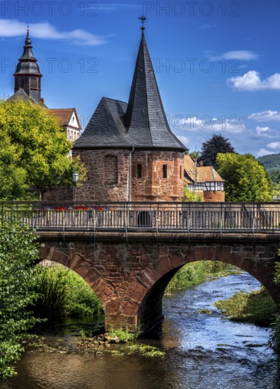 The old town centre with the town wall and the Seemenbach stream, Büdingen, Hesse, Germany
