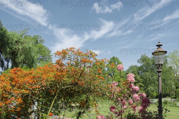 District educational garden, Burgsteinfurt, Münsterland, North Rhine-Westphalia, Germany