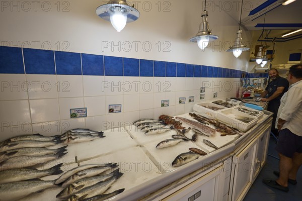 Fresh fish on ice in a shop with blue and white tiles and lamps, Lakki, Leros, Dodecanese, Greek Islands, Greece