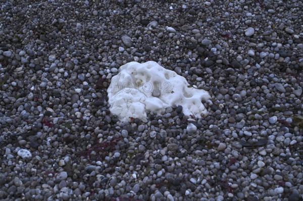 Chalk cliffs in pebble beach, beach, Étretat, cliffs, cliffs, chalk cliffs, alabaster coast, La Côte d'Albâtre, Normandy, Seine-Maritime, France
