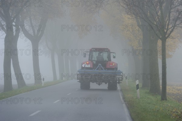 Tractor driving with poor lighting in an avenue of maple trees, dense morning fog, poor visibility, Niederding, Upper Bavaria, Bavaria, Germany