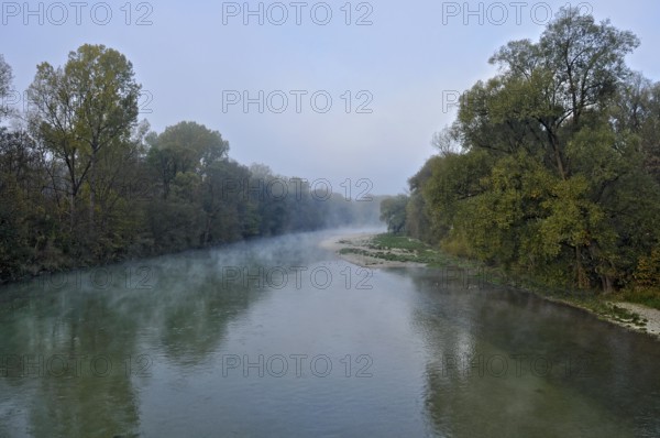River Isar in the morning fog shortly in front of sunrise, twilight, blue hour, nature reserve Isarauen near Marzling, Freising, Upper Bavaria, Bavaria, Germany