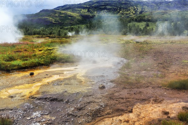 Steaming high-temperature area Haukadalur, tourist attraction on the Golden Circle, Sudurland, Iceland